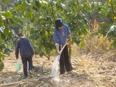 脱贫庆丰收！蕉岭脱贫户的新年愿景是...
