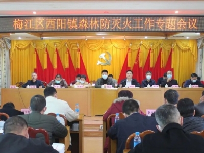 梅江区西阳镇召开森林防灭火工作专题会议