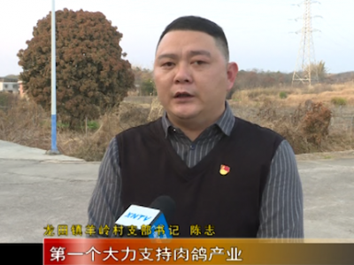 干好三件事，打造新农村！未来，兴宁这位村“领头雁”打算这样做...