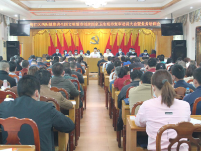 梅江区西阳镇召开推进全国文明城市创建国家卫生城市复审动员大会暨业务培训会