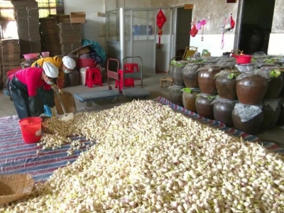 小小蒜头敲开“小康门”