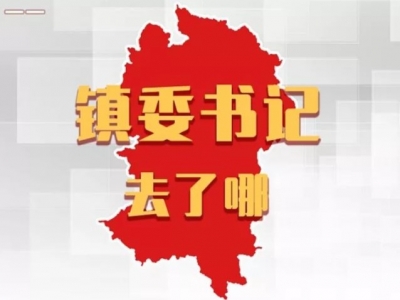 平远各镇党委书记，上周在忙什么？