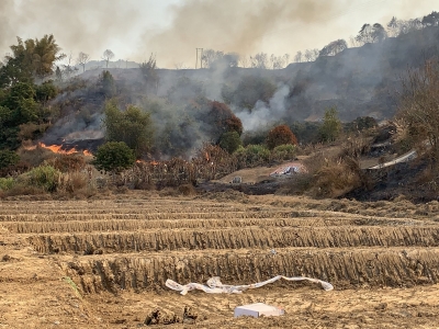 男子回乡祭祖引发山火被刑拘！丰顺警方呼吁：文明祭扫！