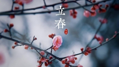 今日立春丨春天，你好！