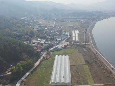 为寿乡振兴发展指明方向！中央一号文件干货满满