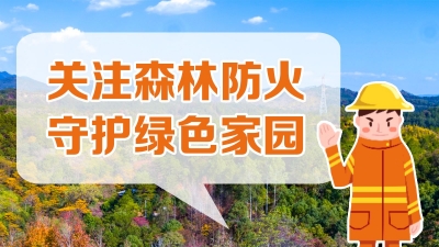 严管严控野外用火，森林经不起你的随意！梅州这片绿意，请用心守护~