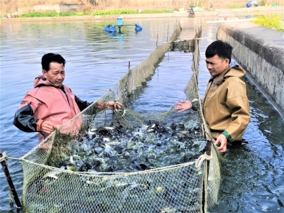 新年新气象！平远：不负春光耕种忙
