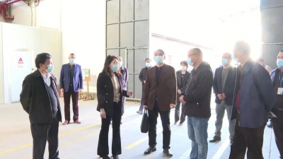 罗盛芬到平远检查督导安全生产、消防和森林防灭火工作