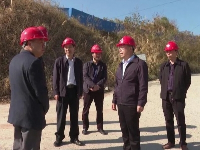 大埔县领导检查节前疫情防控、安全生产、森林防火等工作  