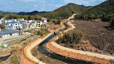 积极办实事 履职显担当！平远县人大代表按期办复率代表满意率或基本满意率均达100%