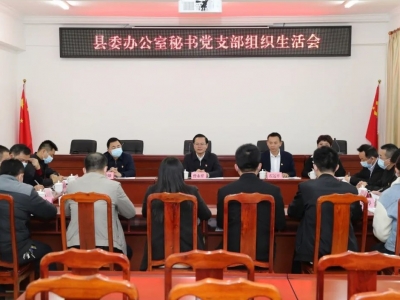 曾永祥到所在党支部参加组织生活会