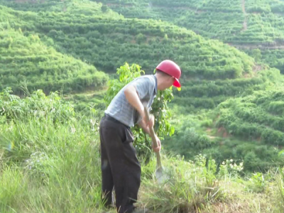 绿色发展跑出加速度！五华这份“绿色答卷”亮点纷呈