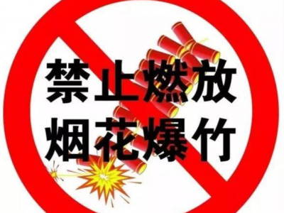 禁燃禁放烟花爆竹 管控工作效果良好