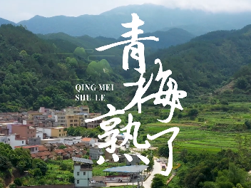 微电影丨青梅熟了