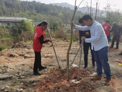 守护绿色生态！丰顺县潘田镇开展义务植树活动