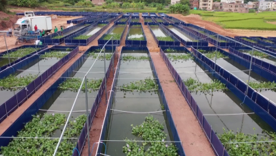 春耕始  万物生！朱少辉调研五华春耕春种工作