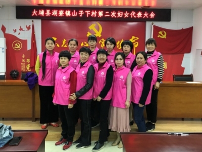 大埔县全面完成村（社区）妇联换届工作