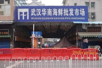 联合研究中方专家组：对华南海鲜市场的动物制品大规模检测未发现阳性