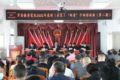 “两委”干部“充电”忙！兴宁罗岗这期培训班干货满满