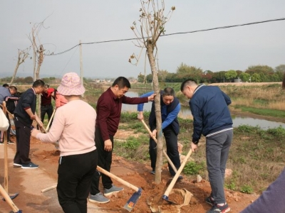 春来添绿正当时！兴宁市交通运输局到“一江两岸”河堤公路开展义务植树活动