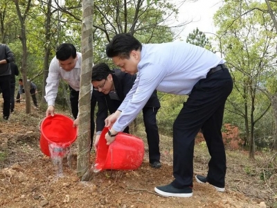播撒新绿，溢满希望！蕉岭县领导带头参加义务植树活动 
