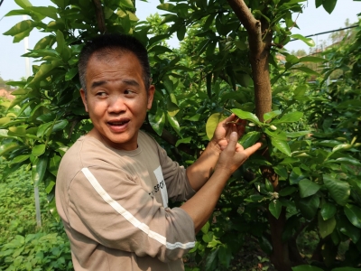 “柚”是一年花开时