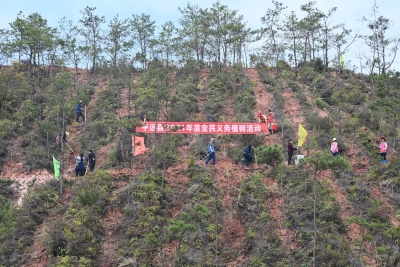 植树添绿正当时！平远县领导带头参加义务植树
