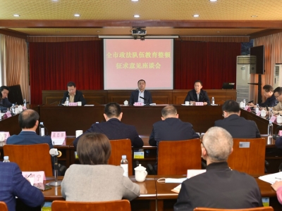 全市政法队伍教育整顿征求意见座谈会召开：纳真言 补短板 办实事