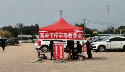 看病停车难成了村民的“发财路”，整改！