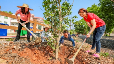 “一把锹”的绿色接力！大埔华祝村乡贤10余年坚持回乡种树，造就今日绿色连廊
