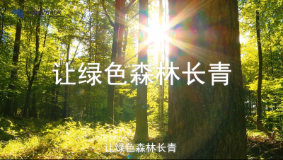 严防山火！让绿色森林长青
