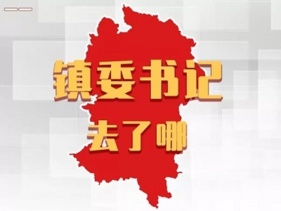 平远各镇党委书记，上周在忙什么？