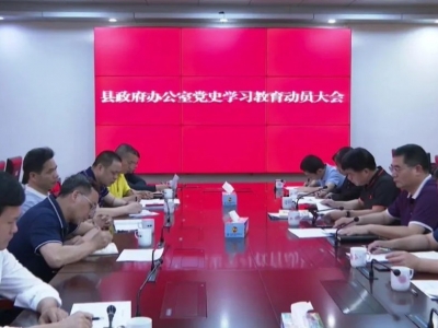 学习动态丨平远县政府办公室召开党史学习教育动员大会