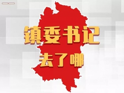 平远各镇党委书记，上周在忙什么？