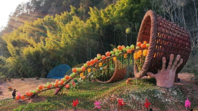 平远县：田园美景入画来  丹山碧水绽新颜