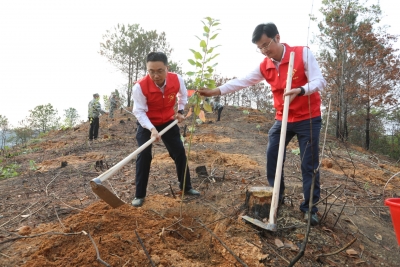 不负春光植树忙！梅县区举行2021年义务植树活动