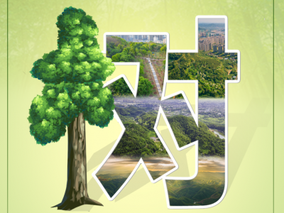 掀植树热潮，建生态家园！梅州各地各单位积极组织开展义务植树活动