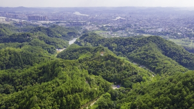 青山环绕绿满城！这生态梅江，自带“森系”滤镜...