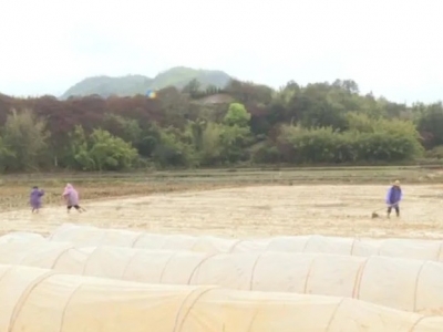 干起来！丰顺县及早谋划，确保春耕春种顺利进行