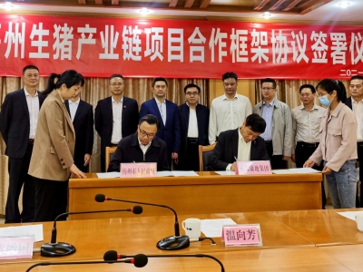 年产值约30亿，年出栏生猪50万头！梅州这个生猪产业链项目，今天签啦！