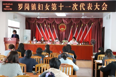兴宁市罗岗镇妇女第十一次代表大会召开