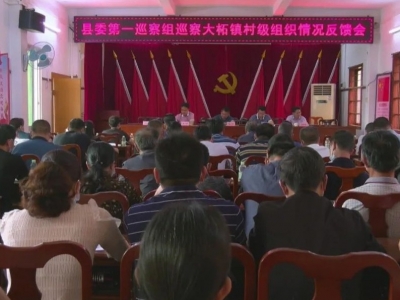 平远召开县委第十轮巡察情况反馈会