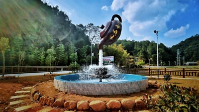 从老板到村干部，从摄影师到耕田人...他用真干实干带领家乡摘掉穷帽子！