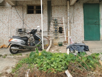 公共绿化带竟成私家“菜园地”？梅州这个小区住户太闹心！