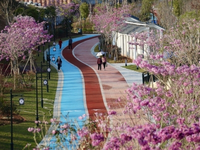 梅花、宫粉根植大地！梅江区这场活动为秀美山水添新绿