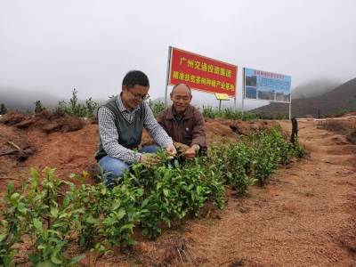 反哺农村十余载！他是全国脱贫攻坚先进个人岑宇铿，谱写跨越千里的扶贫篇章...