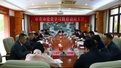 兴宁市委办召开党史学习教育动员会议