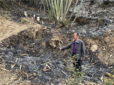 堆烧杂草、上坟时燃放烟花...丰顺两男子涉嫌失火罪被刑拘