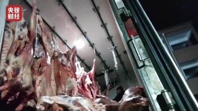 央视315晚会：又见瘦肉精，瘦肉精羊流向多地
