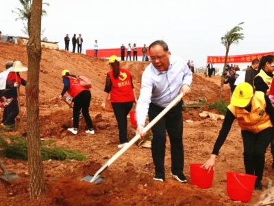 宁江河畔齐植树，生态建设再添绿！兴宁市领导带头参加全民义务植树活动